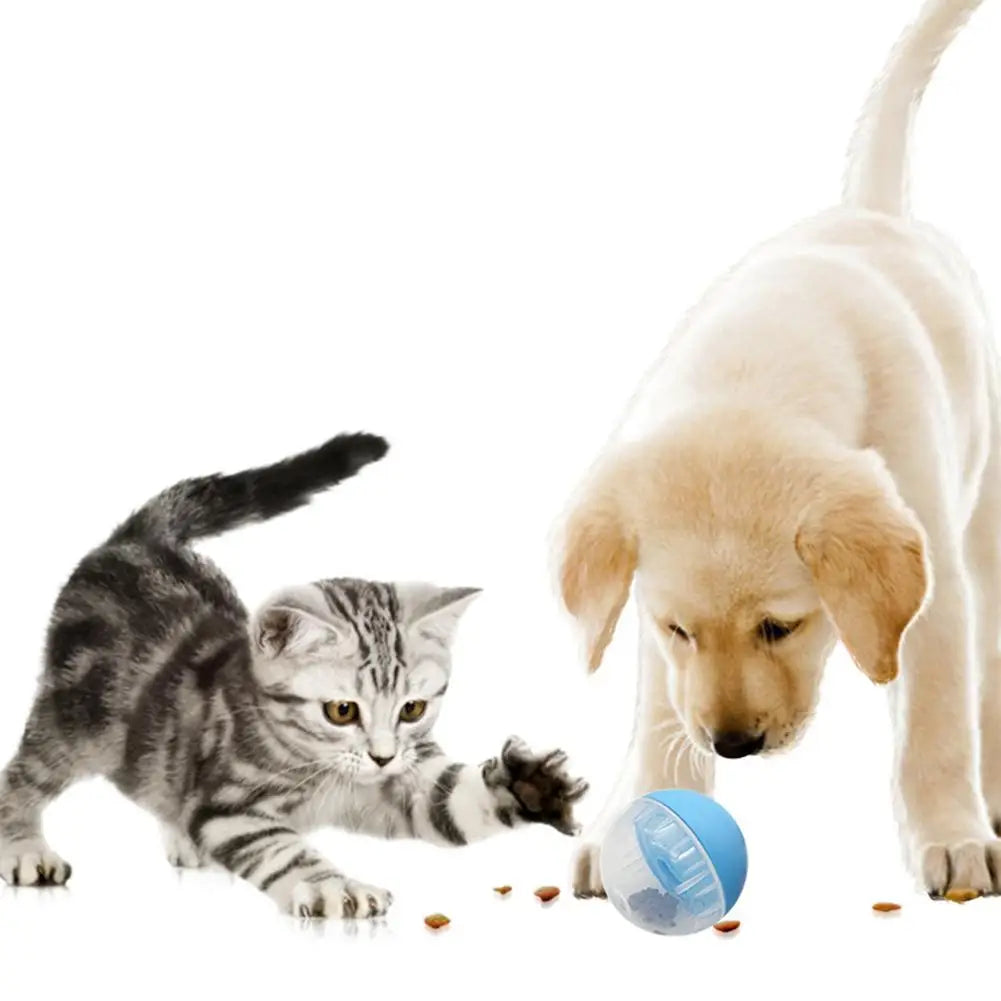 Pet Interactive Leakage Food Balls